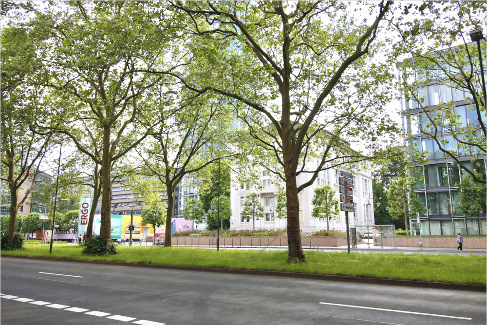 Strasse